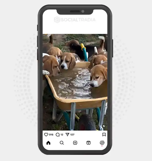 buy instagram account