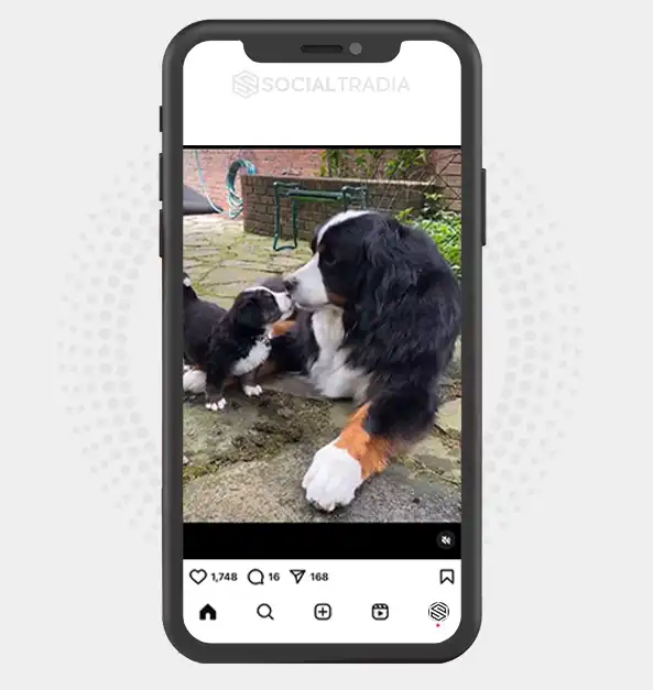 buy instagram account