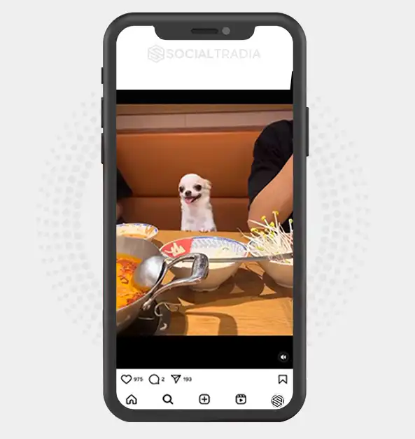 buy instagram account