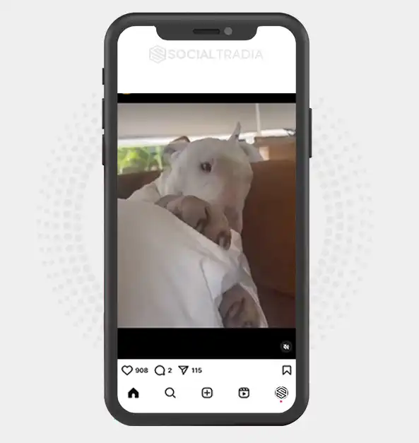 buy instagram account