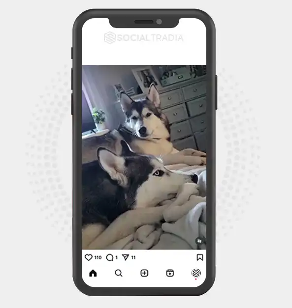 buy instagram account