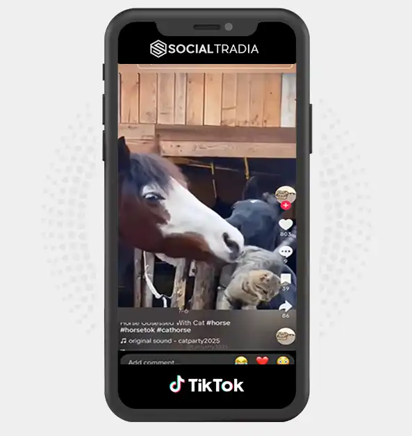 buy Instagram account Kitten Party (1m Followers)