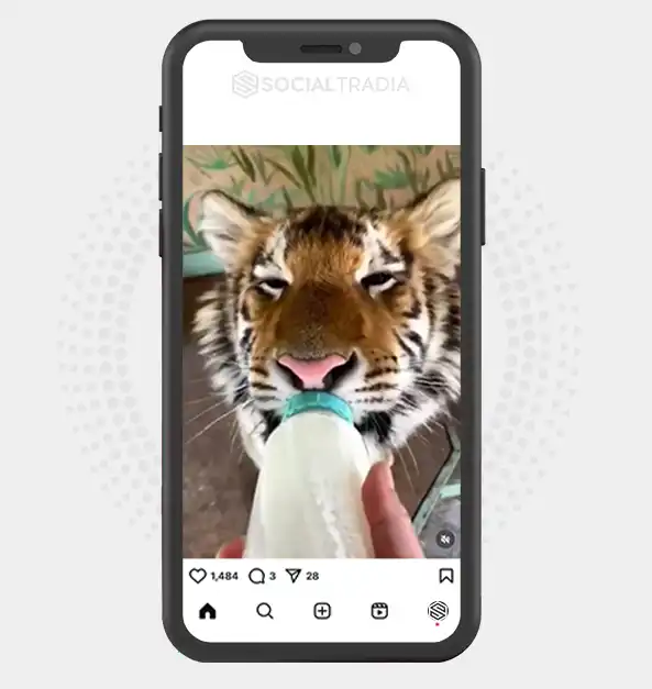 buy instagram account