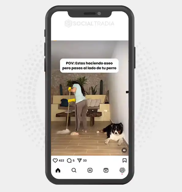 buy Instagram account Pet Lives (31.6 k Followers)