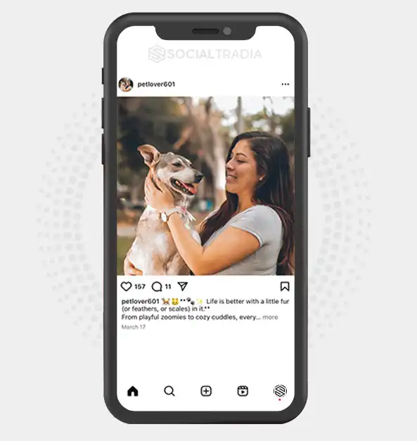 buy Instagram account petlover601 (2 k Followers)