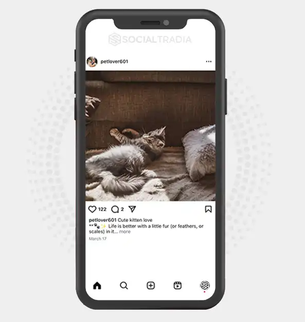buy Instagram account petlover601 (2 k Followers)