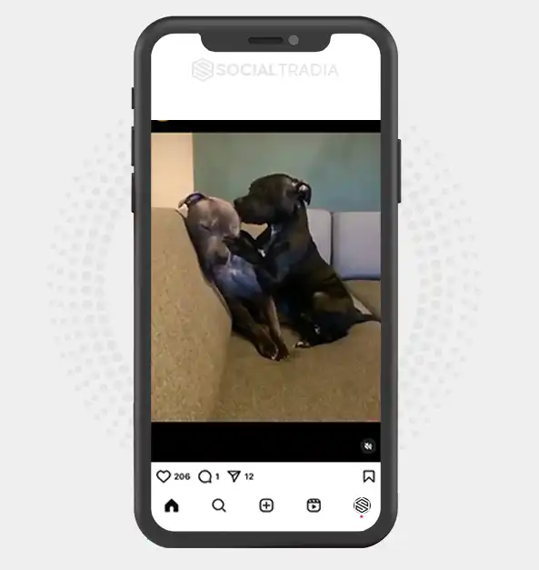buy instagram account