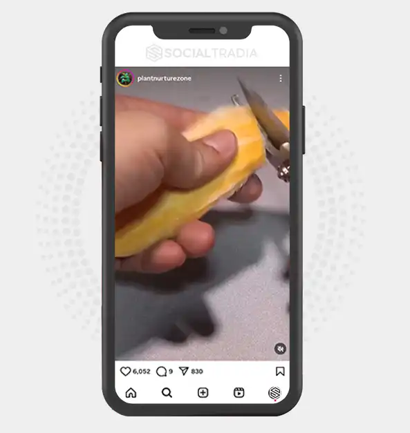 buy Instagram account plantnurturezone (2 k Followers)