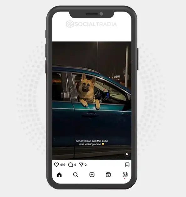 buy Instagram account PuppyBrown (36.3 k Followers)