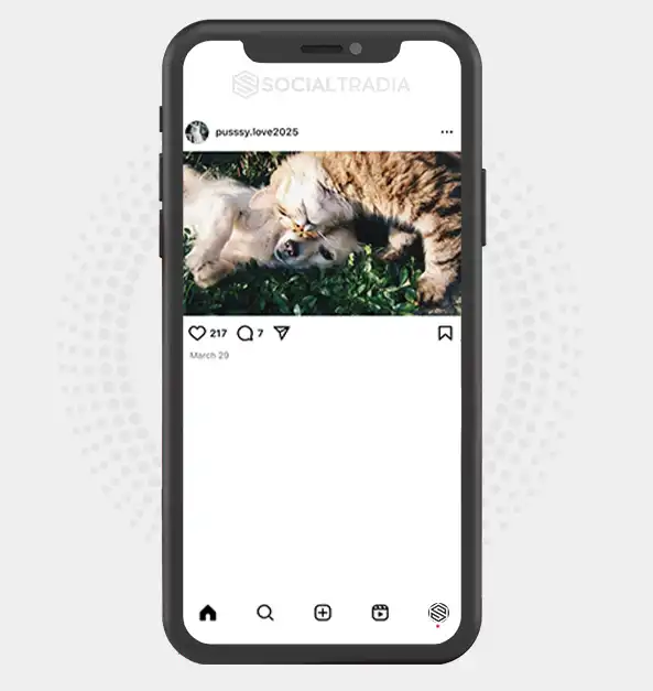 buy Instagram account pusssy.love2025 (2.4 k Followers)