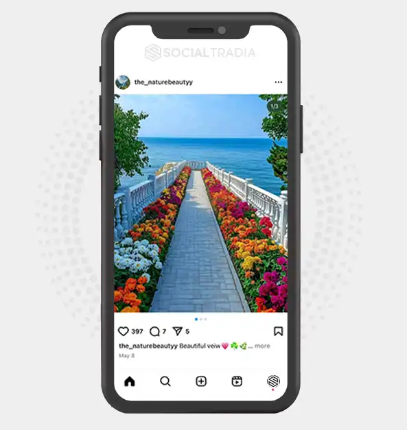 buy Instagram account the_naturebeautyy (2.5 k Followers)