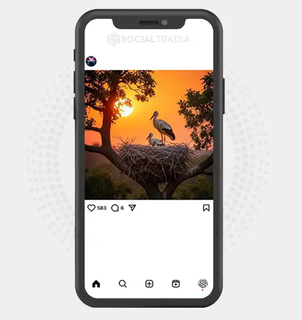 buy Instagram account TravelMemory (3.5 k Followers)