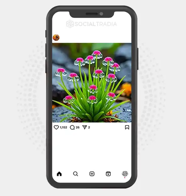 buy Instagram account Trip Moment (3.5 k Followers)