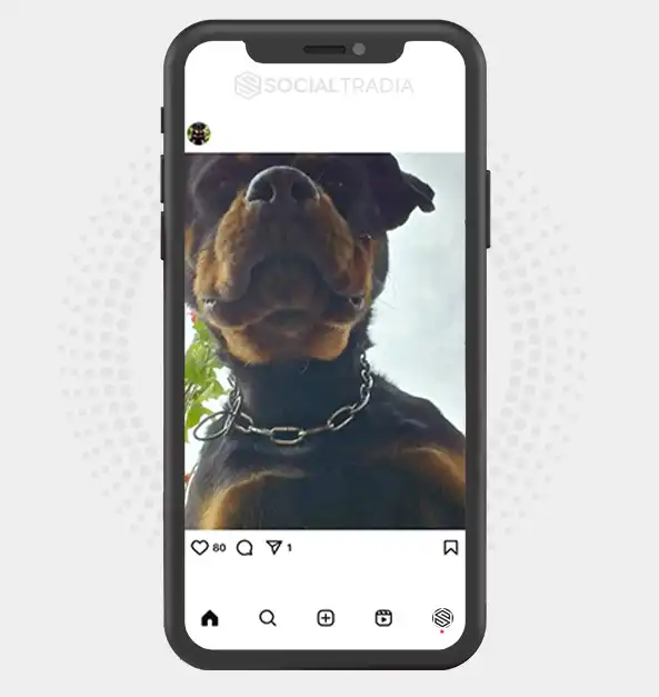 buy Instagram account DarkPuppy (44.3 k Followers)