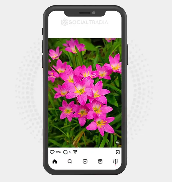 buy Instagram account floral_vibes4n (2 k Followers)