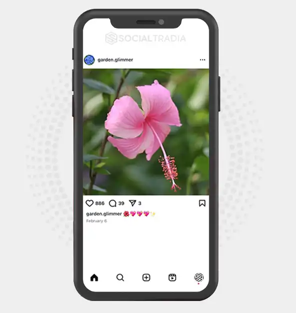 buy Instagram account garden.glimmer (1.9 k Followers)