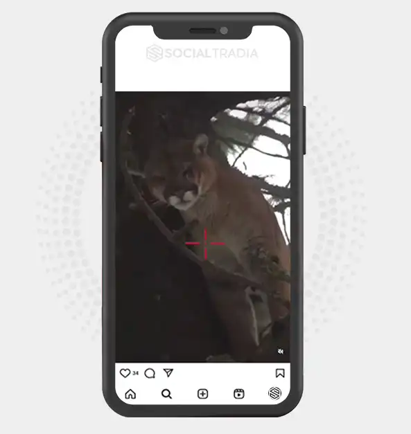 buy Instagram account huntingusa7 (2 k Followers)
