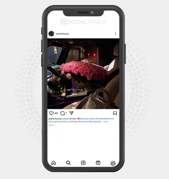 buy Instagram account joyful.luxury (2.1 k Followers)