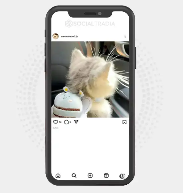 buy Instagram account meowmeow21p (3.5 k Followers)