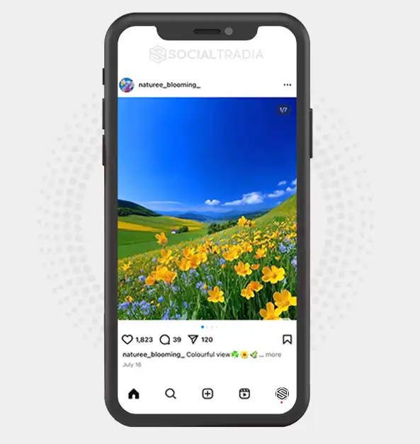 buy Instagram account naturee_blooming_ (2.2 k Followers)