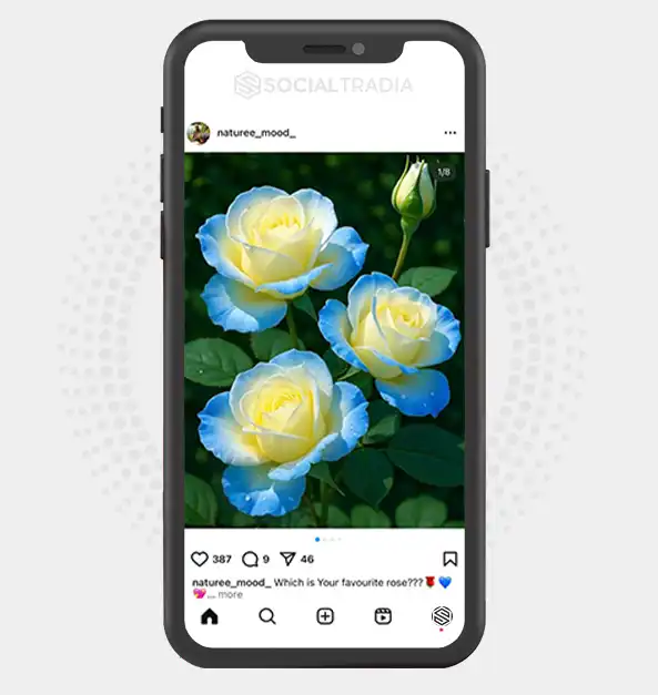 buy Instagram account naturee_mood_ (2.1 k Followers)
