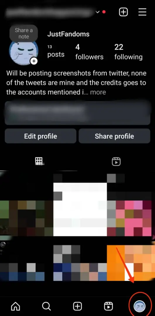 A screenshot showing an Instagram account with a red flash pointing to the profile icon