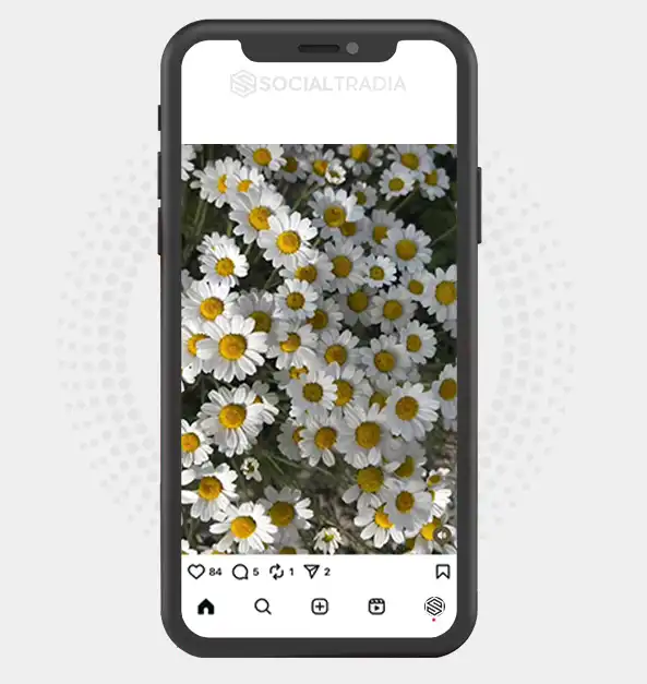 buy Instagram account Blossom Haven (2.1 k Followers)