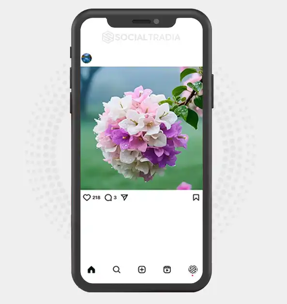 buy Instagram account Nature Trails (2.3 k Followers)