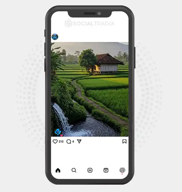 buy Instagram account Nature Trails (2.3 k Followers)