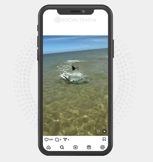 buy Instagram account travelvideonjr (2.2 k Followers)