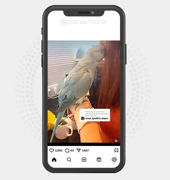 buy Instagram account Animal Humor (151 k Followers)