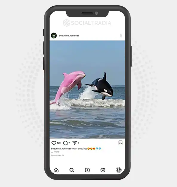 buy Instagram account beautiiful.naturee1 (2.9 k Followers)