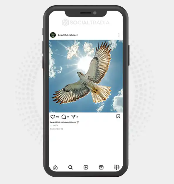 buy Instagram account beautiiful.naturee1 (2.9 k Followers)