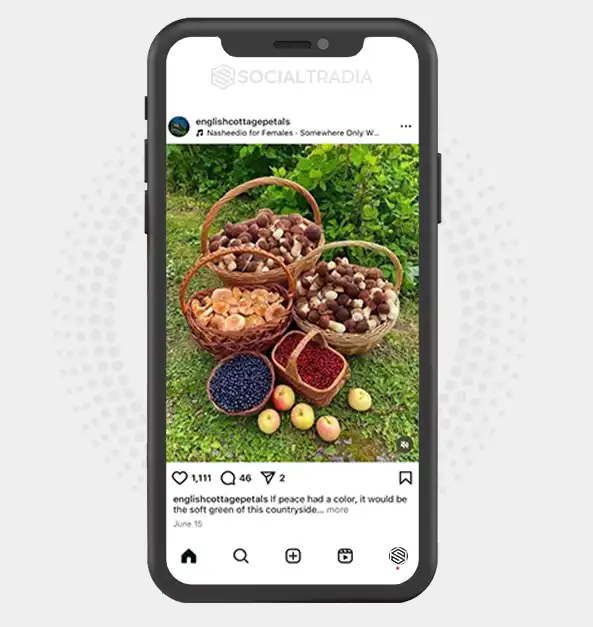 buy Instagram account englishcottagepetals (2 k Followers)