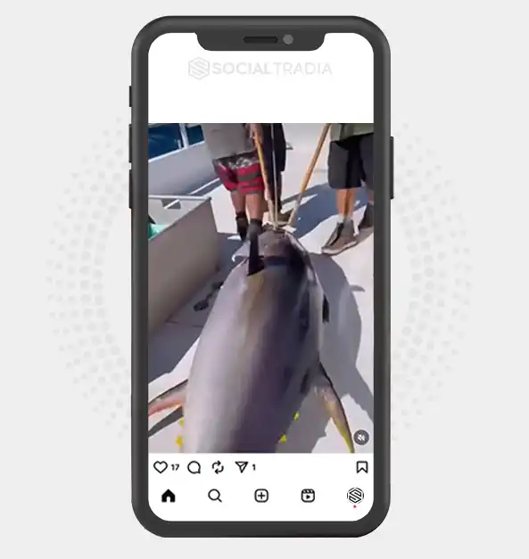 buy Instagram account fishinglover408 (2.1 k Followers)
