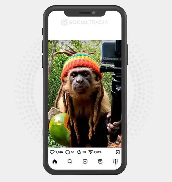 buy instagram account