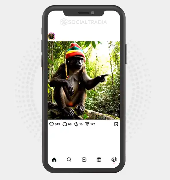 buy Instagram account Monkey Vibes (102 k Followers)