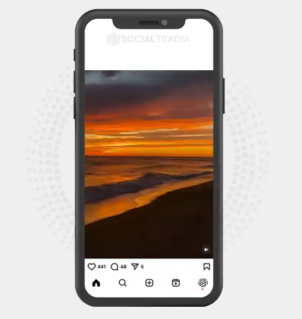 buy Instagram account Nature Embrace (2.1 k Followers)