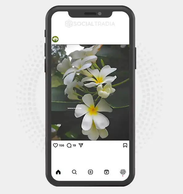 buy instagram account