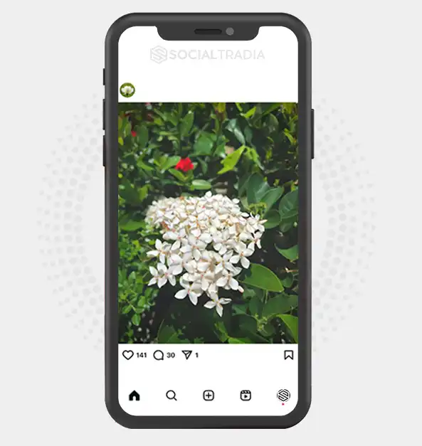 buy Instagram account Flower Bucket (2.1 k Followers) buy Instagram account Flower Bucket (2.1 k Followers)