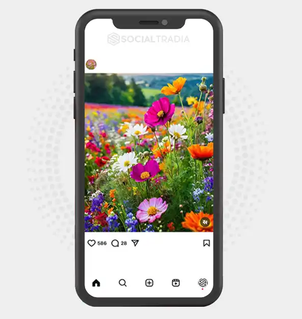 buy Instagram account Flower Horizon (2.1 k Followers)