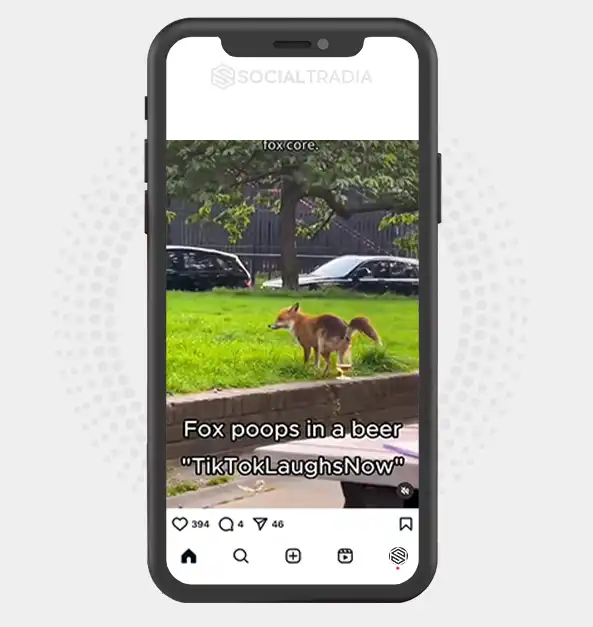 buy Instagram account Fox World (33.2 k Followers)