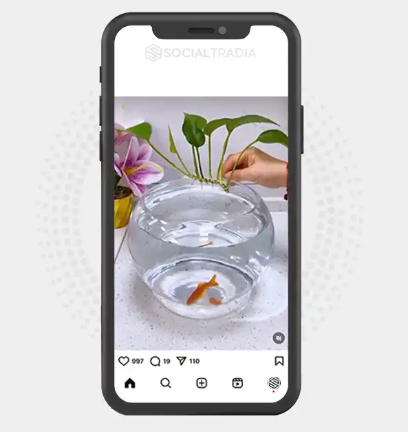 buy Instagram account leaf_nest0 (2.1 k Followers)