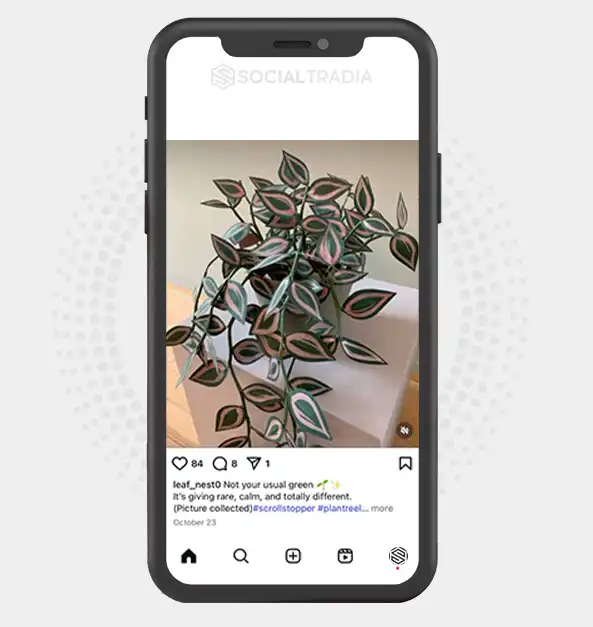 buy Instagram account leaf_nest0 (2.1 k Followers)