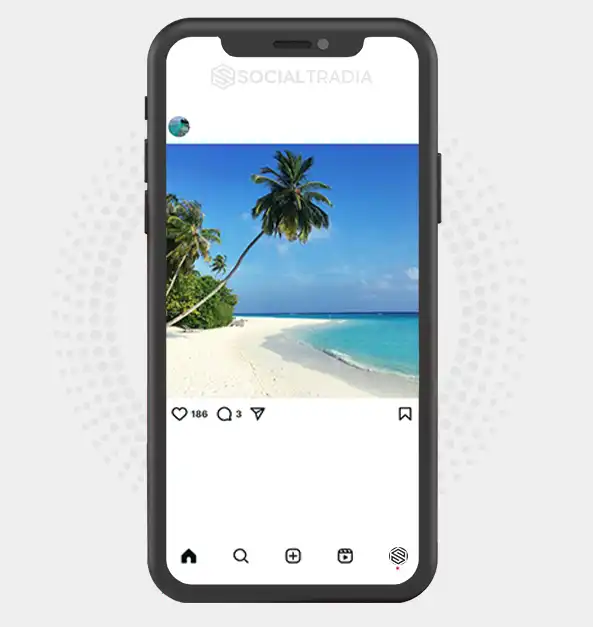 buy Instagram account Travel Bloom (2 k Followers)