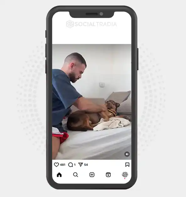 buy Instagram account CutestPuppies (31.7 k Followers)