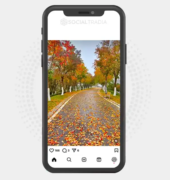 buy Instagram account faithfulnature_1 (3 k Followers)