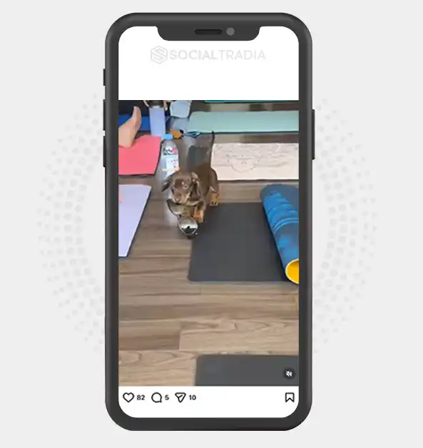 buy Instagram account Fitness Transform (2.2 k Followers) buy Instagram account Fitness Transform (2.2 k Followers)