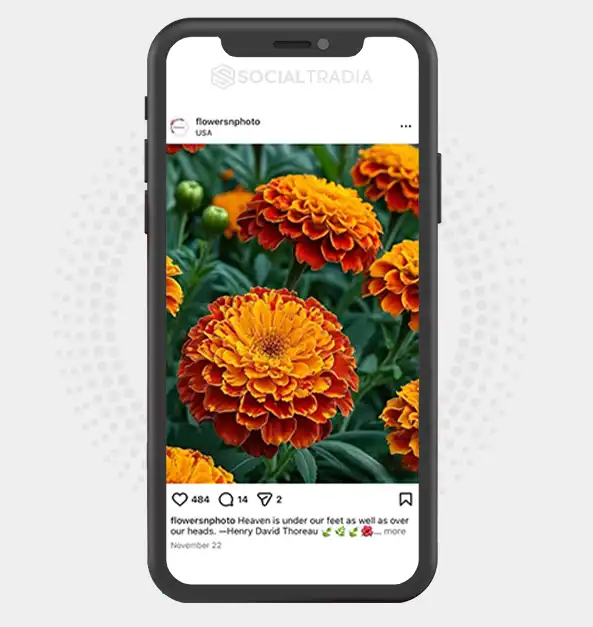 buy instagram account