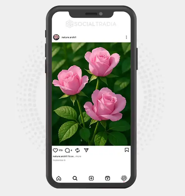 buy Instagram account nature.arshi1 (2.2 k Followers)